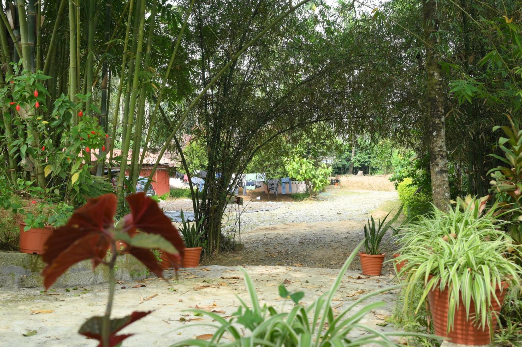Coffee Island Resort Kaniyāmbetta Eksteriør bilde